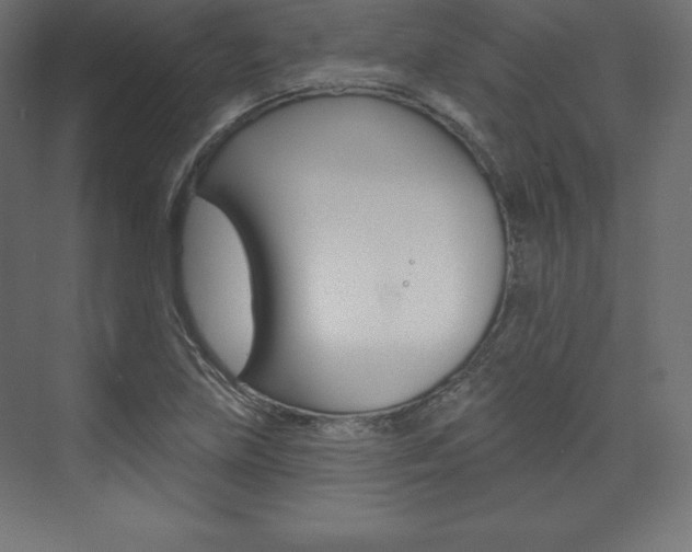 X0000073951219200608210934