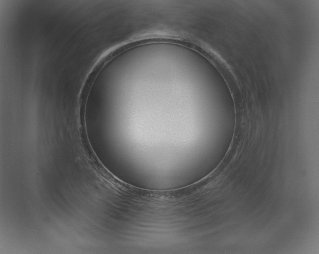 X0000073951222200608210934