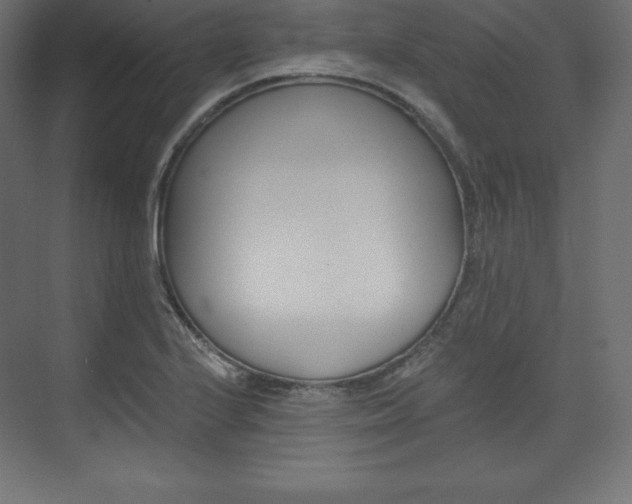 X0000073951224200608210934