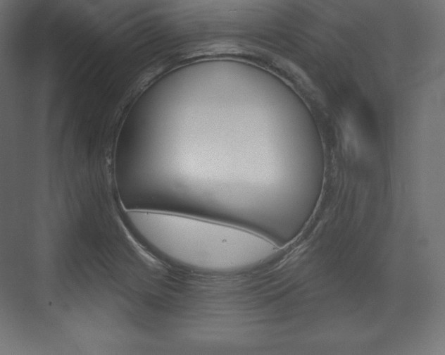 X0000073951225200608210934