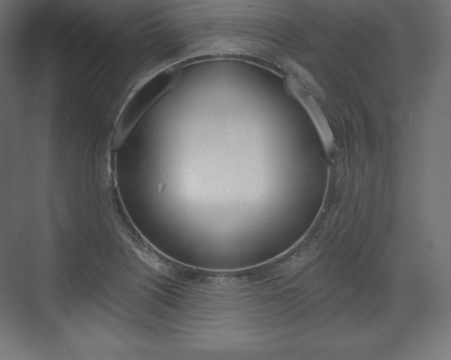 X0000073951226200608210934