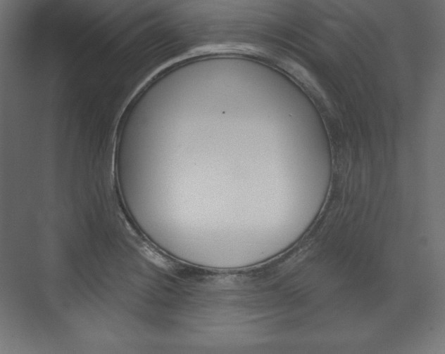 X0000073951228200608210934