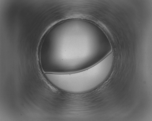 X0000073951230200608210934