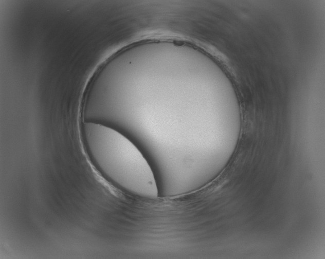 X0000073951231200608210934