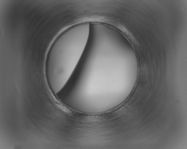 X0000073951232200608210934