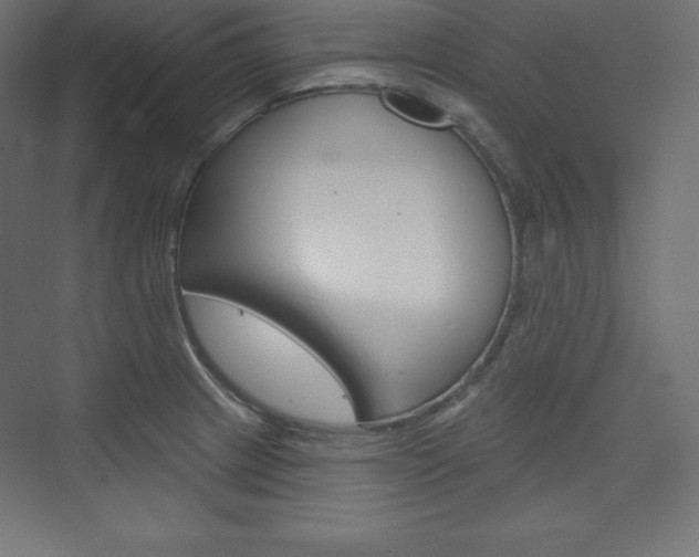 X0000073951233200608210934