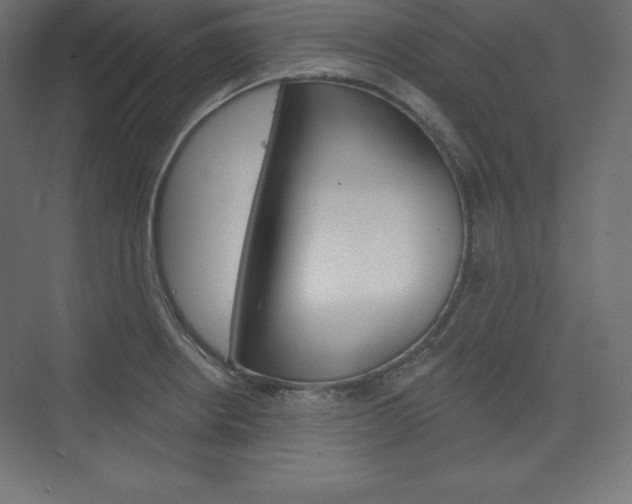 X0000073951234200608210934