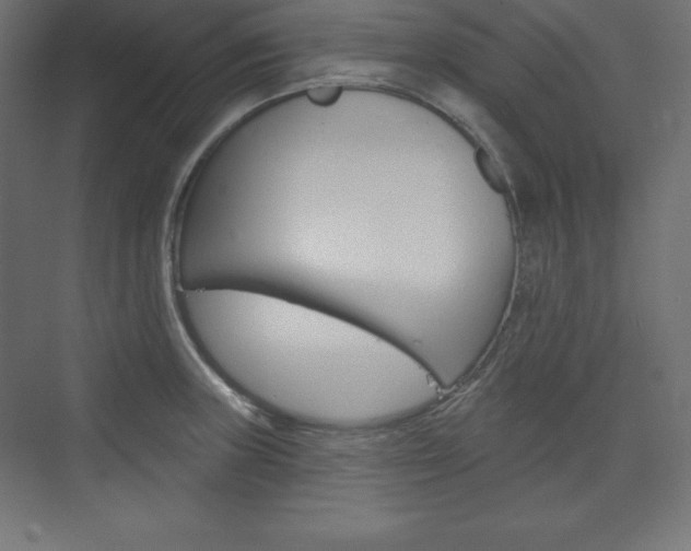 X0000073951235200608210934