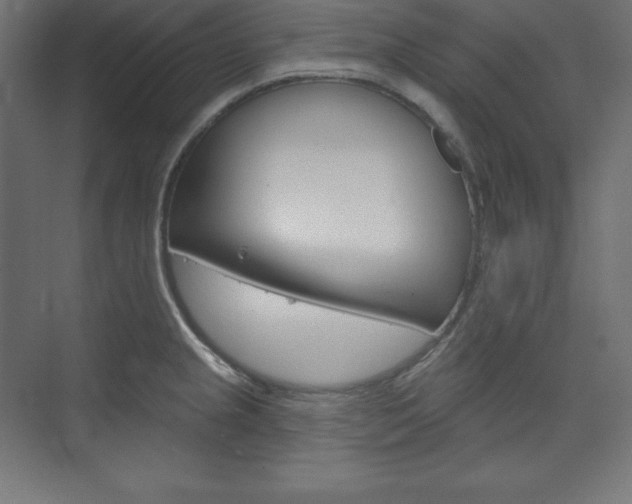 X0000073951237200608210934