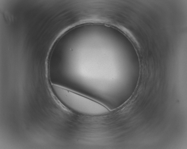 X0000073951238200608210934