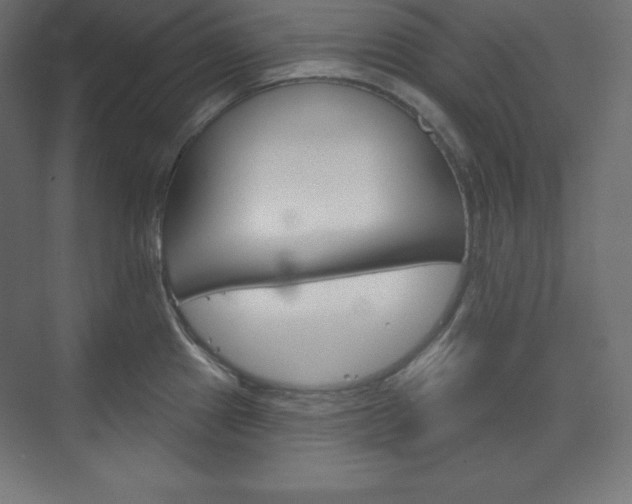 X0000073951241200608210934