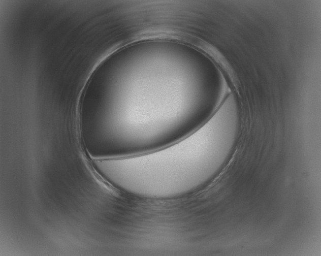 X0000073951242200608210934