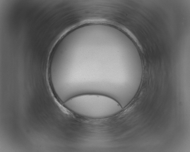 X0000073951245200608210934
