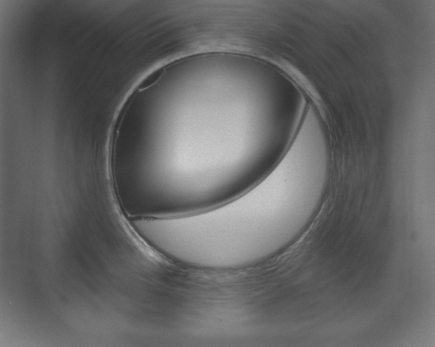 X0000073951246200608210934