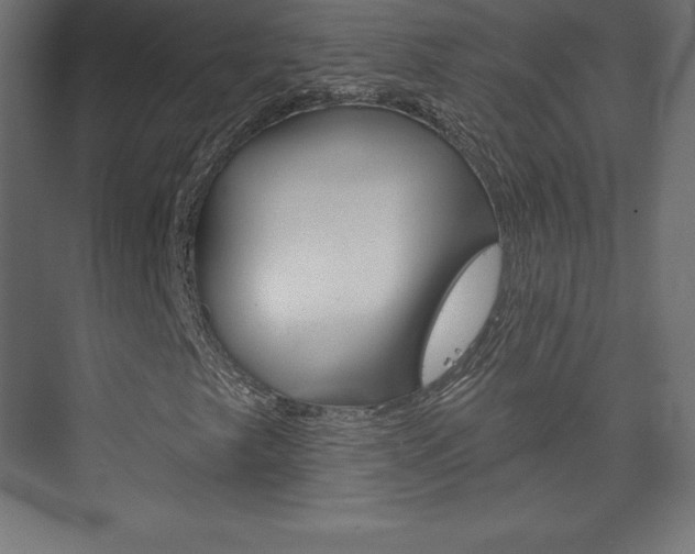 X0000073951249200608210933