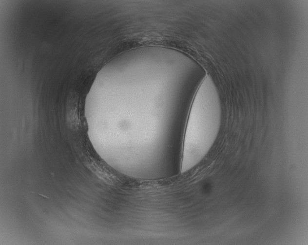 X0000073951250200608210933