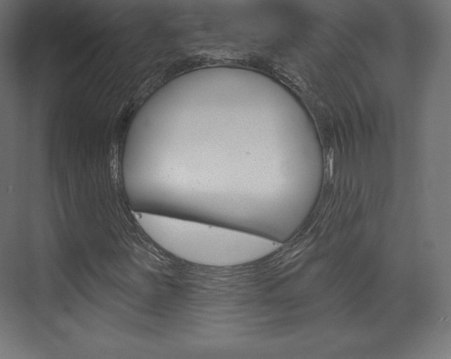 X0000073951251200608210933