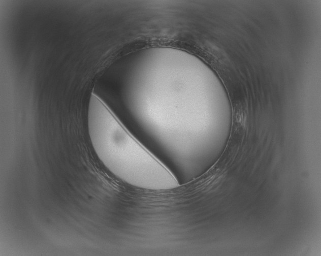 X0000073951252200608210933