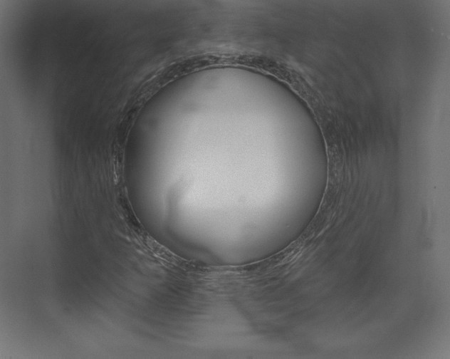 X0000073951253200608210933