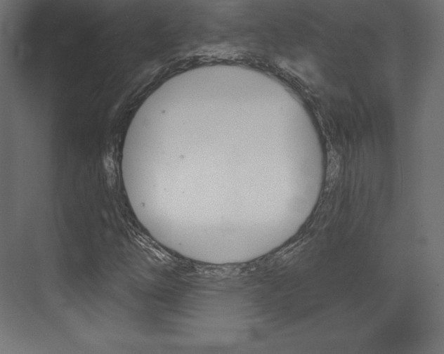 X0000073951254200608210933