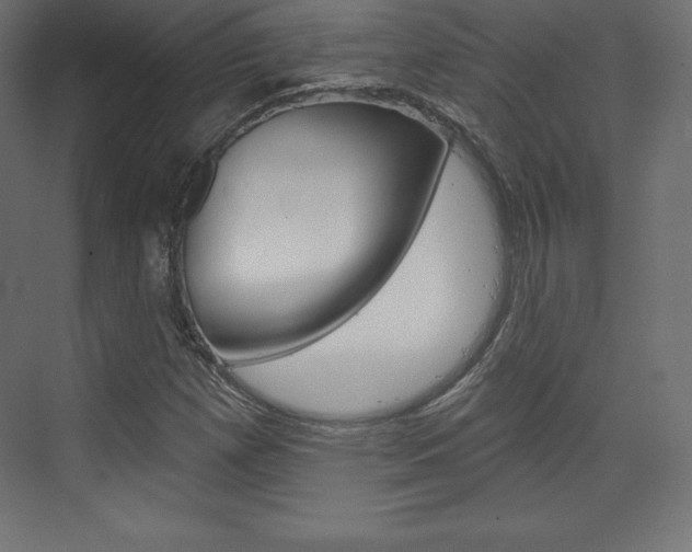 X0000073951257200608210933