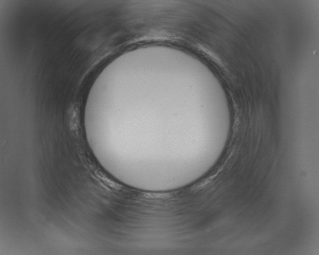 X0000073951258200608210933