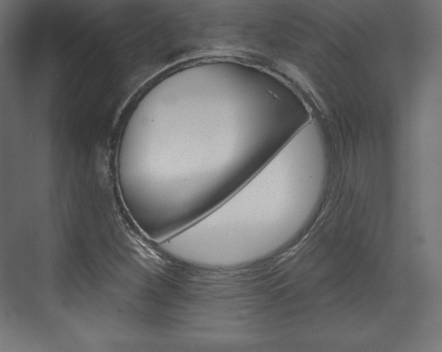 X0000073951260200608210933
