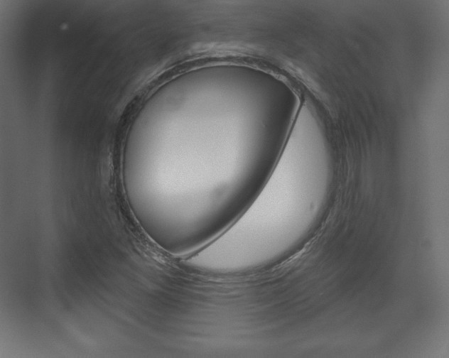 X0000073951261200608210933