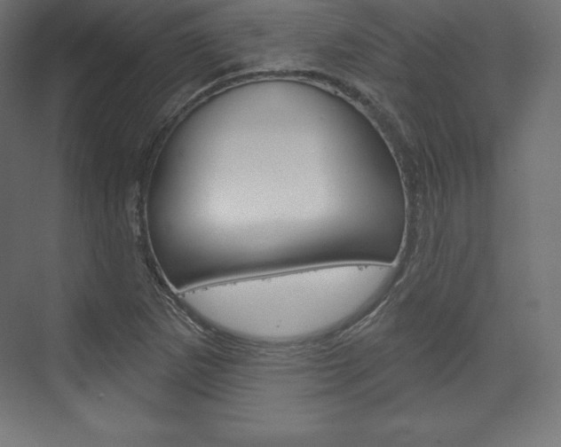 X0000073951265200608210933