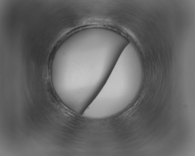 X0000073951267200608210933