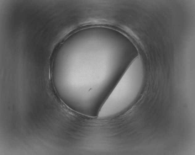 X0000073951269200608210933