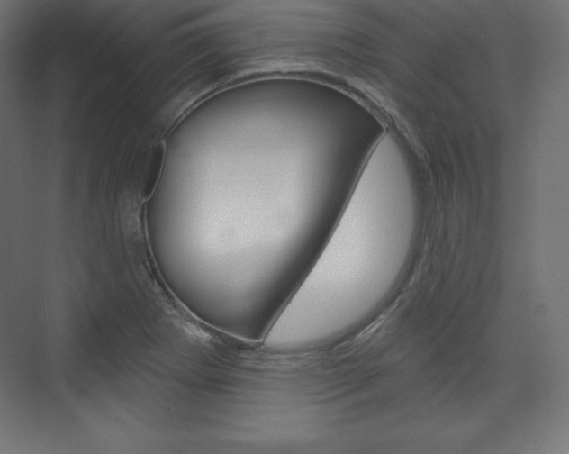 X0000073951273200608210933
