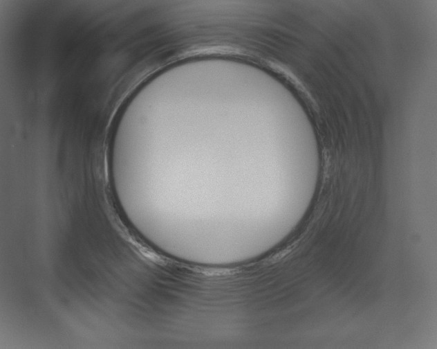 X0000073951274200608210933
