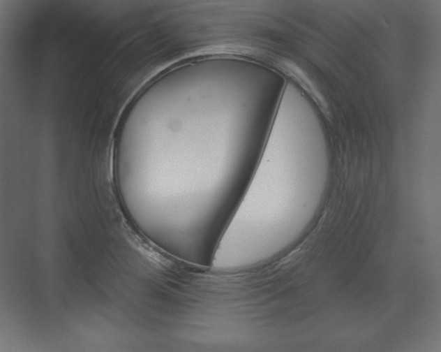 X0000073951276200608210933