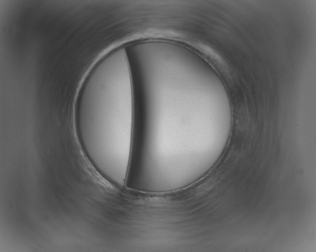 X0000073951280200608210933