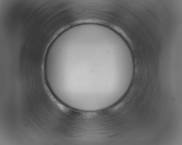 X0000073951282200608210933