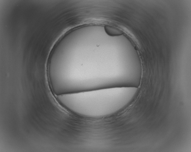 X0000073951283200608210933