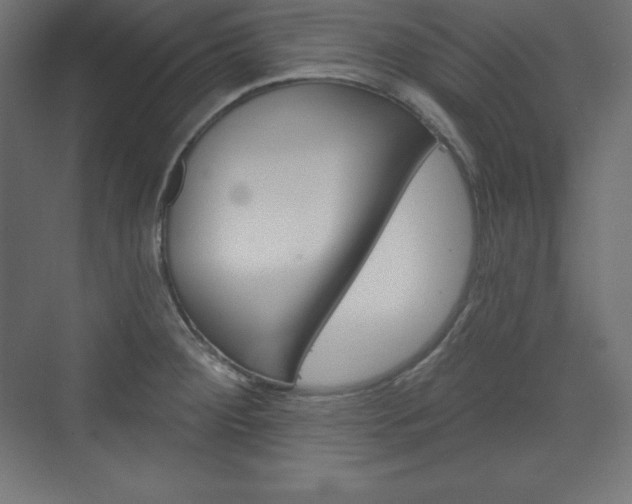 X0000073951284200608210933