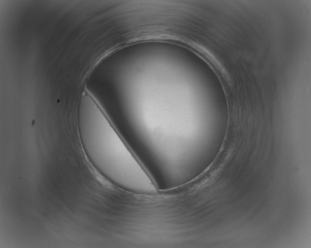 X0000073951289200608210933