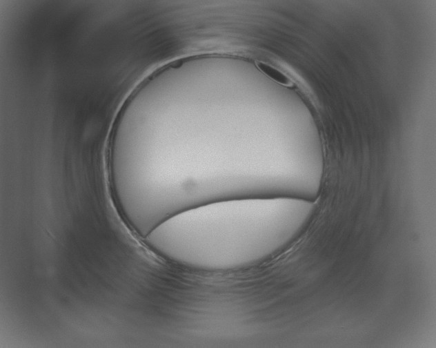 X0000073951291200608210933