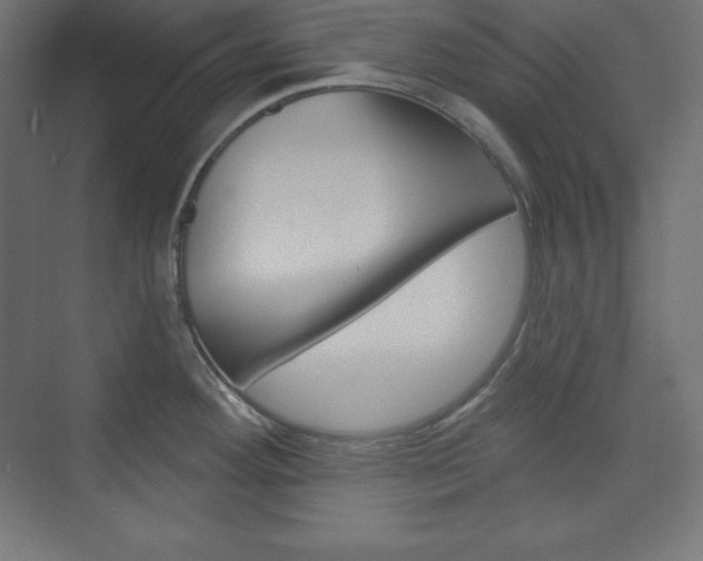 X0000073951292200608210932