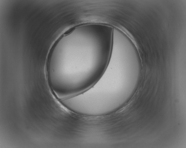 X0000073951293200608210932