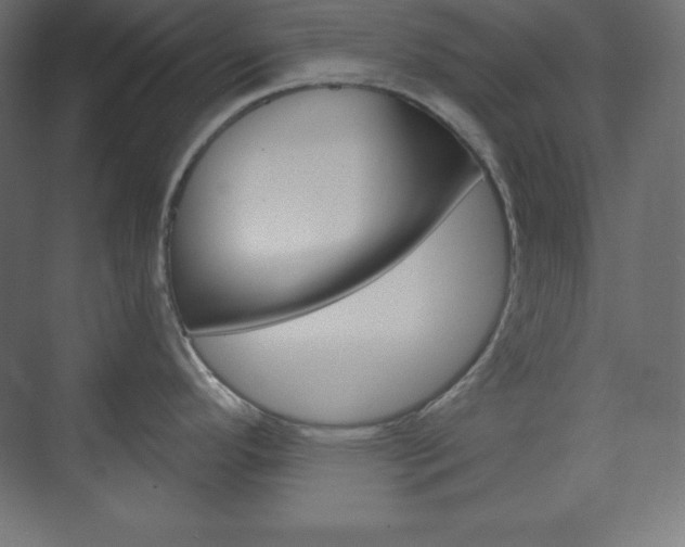 X0000073951296200608210932