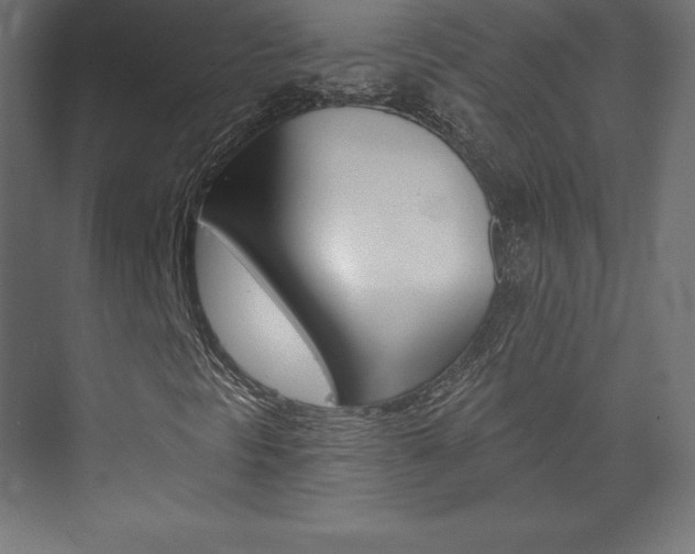 X0000073951297200608210932