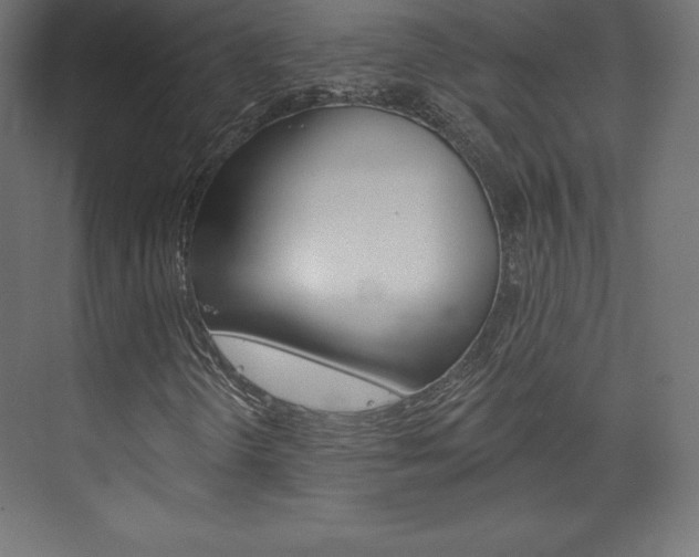 X0000073951298200608210932