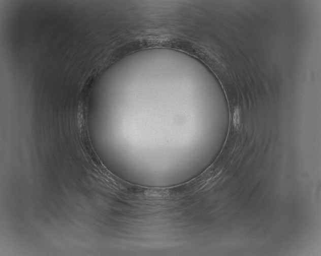X0000073951299200608210932