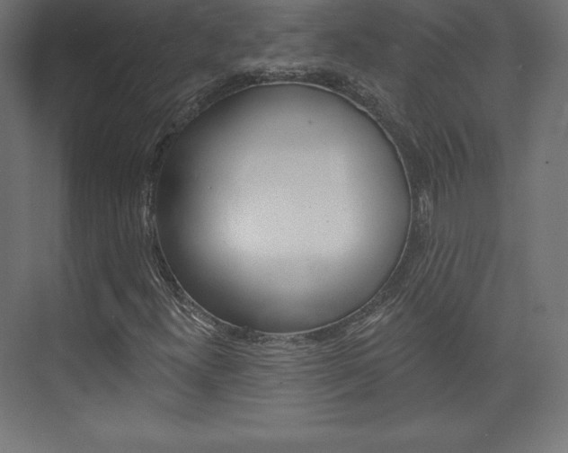 X0000073951300200608210932