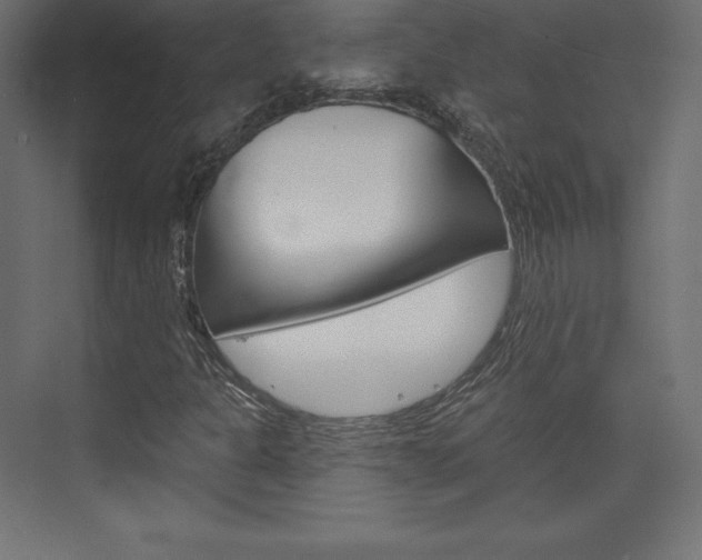 X0000073951301200608210932