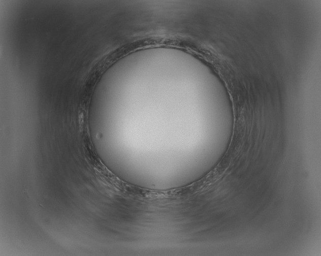 X0000073951302200608210932