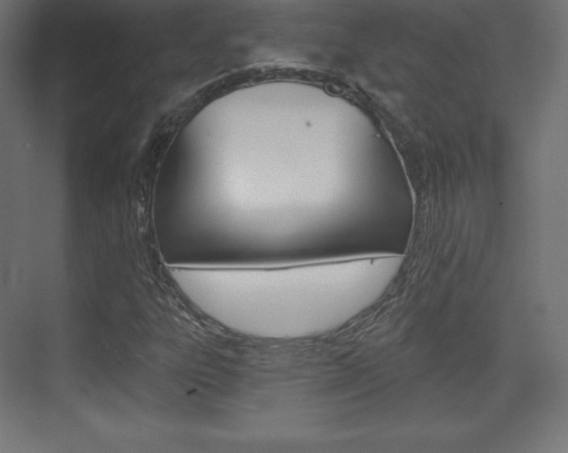 X0000073951303200608210932